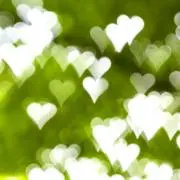 ひかり