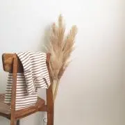 菜の画像