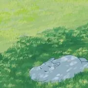 木漏れ日の画像