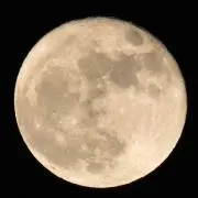 Julyの画像