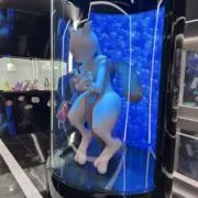 Kの画像