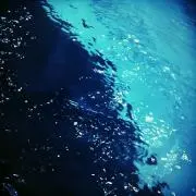 蒼の画像