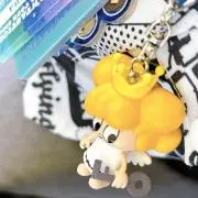 ショコラの画像