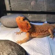 波の画像