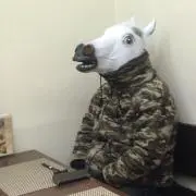 七つ星