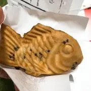 たんたんの画像