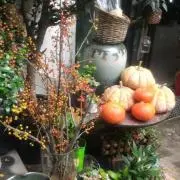 miwaryの画像