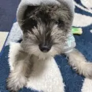 Ma☆☆の画像