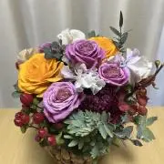 えみりーの画像