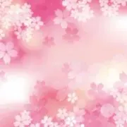 SAKURA✽の画像