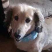 ふー☆の画像