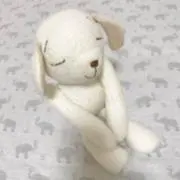 ゆかの画像