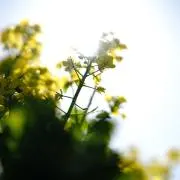 お引越し断捨離中の画像