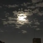 ジャックコーポレーションの画像