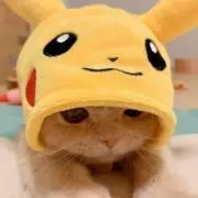 招き猫の画像