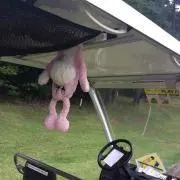 みー助の画像