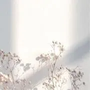 ちーの画像
