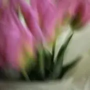miuの画像