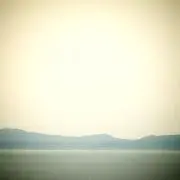 arrruの画像