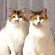 ひささん【プロフをご覧ください】の画像