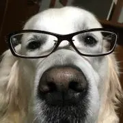 マクミラン