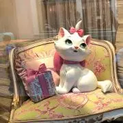 しろねこ