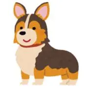 ぴっころん☆の画像