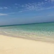 shinの画像