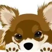 Noeぴ