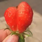 ふみの画像