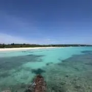 あち【2026年夏までのお取引】の画像