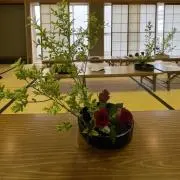 あや〜プロフ必読〜の画像