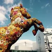 モルツの画像