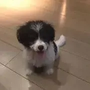 ながやん プロフ読んで下さいね。