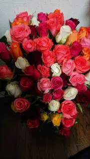 ROSEの画像