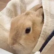 RUNAの画像