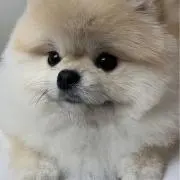 n♡6v6の画像