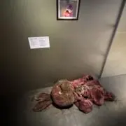 imiの画像