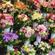 ジャスミン︎︎︎♡即購入可能