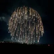 伊右衛門の画像