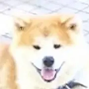 まるる