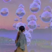 ゼミラの画像