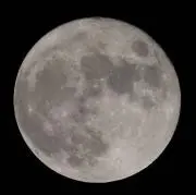 Bluemoon