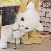 hiraの画像