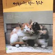 AKOの画像