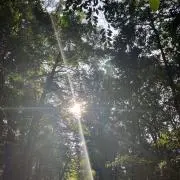 しらたま✨随時セール開催中✨の画像