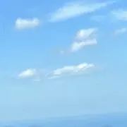 lmの画像