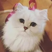 milky