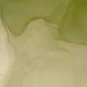 しゅしゅの画像