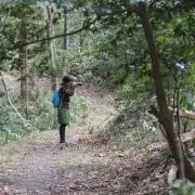 わらの画像